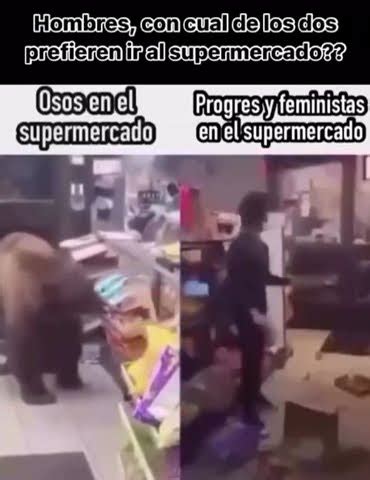 Hombres A Qui N Prefieren Al Oso O A La Feminista Hombres Parati