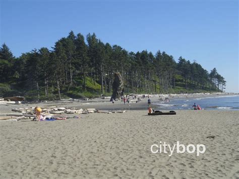 10 BEST Things to Do at Ruby Beach