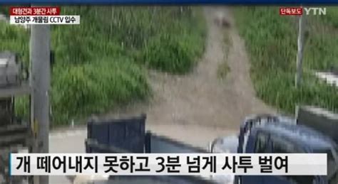 대형견과 3분 넘게 사투남양주 개물림 사고 Cctv 공개 네이트 뉴스