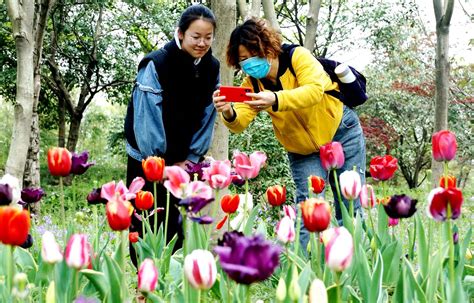 烟花三月 踏春赏景中国江苏网