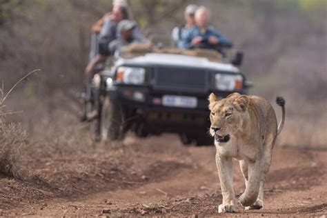 Tour Di 2 Giorni Big 5 Safari Di St Lucia Hluhluwe IMfolozi Manyoni