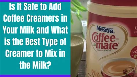 Can You Put Coffee Creamer In Milk Know Which Type Of Coffee Creamer Is Safe To Add In Milk