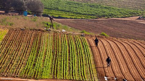 Kzn Department Of Rural Development And Land Reform Acquires R15 5