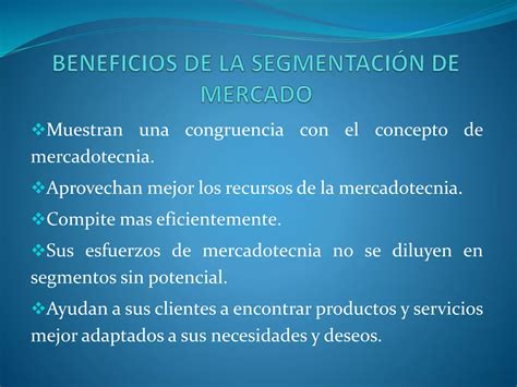 La Segmentacion De Mercados Ppt Descarga Gratuita