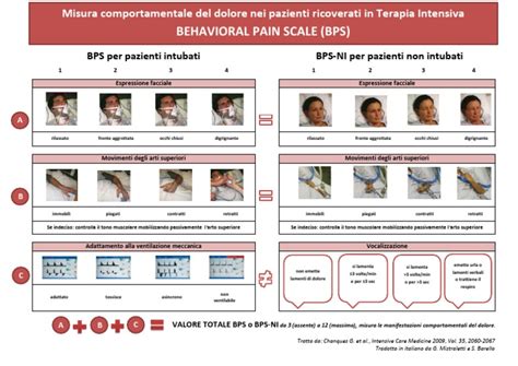 Behavioral Pain Scale Bps Bps Per Pazienti Intubati Bps Ni Per Pazienti Non Intubati