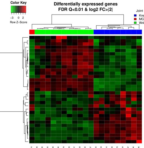 Heatmap Expression