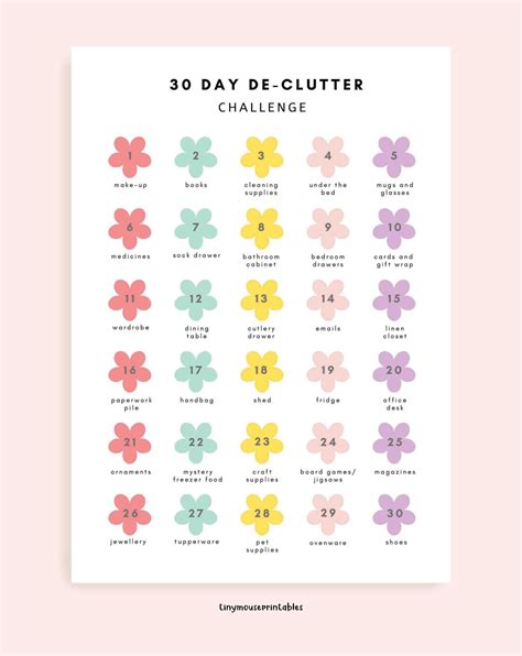 30 Day De Clutter Challenge Home Organizer Decluttering Planner