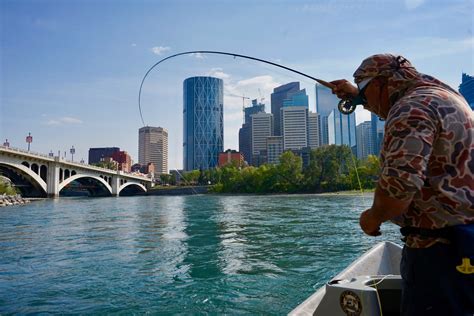 Bow River Fly Fishing Guides Dave Brown Outfitters Fly Fishing And