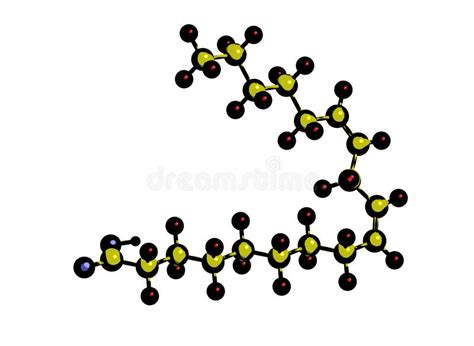 Cido Linoleico La Mol Cula Cido Graso Poliinsaturado Omega F Rmula
