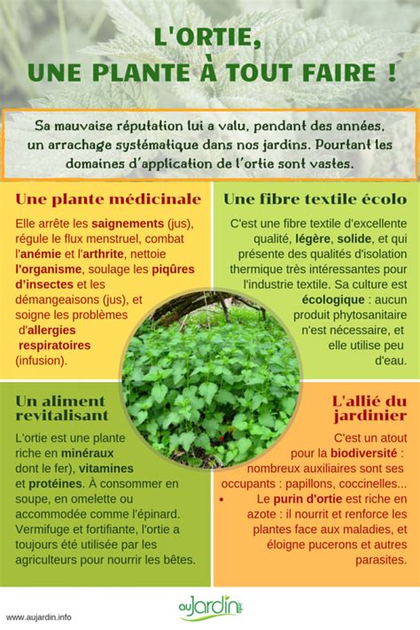 L ortie une plante à tout faire