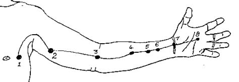 Shared Post Kyusho Setup Pressure Points