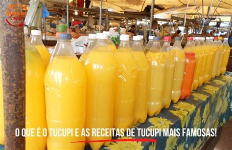 O Que O Tucupi E As Receitas De Tucupi Mais Famosas