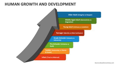 Human Growth And Development PowerPoint and Google Slides Template ...