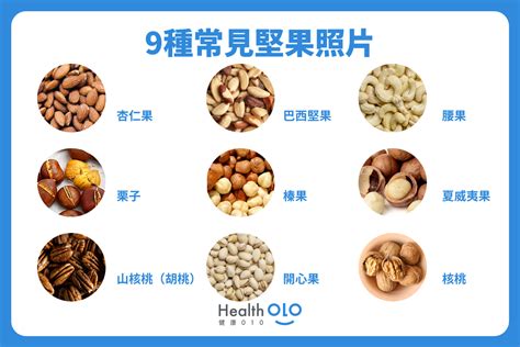 堅果怎麼吃詳解6大功效營養9種堅果特點好處 健康010