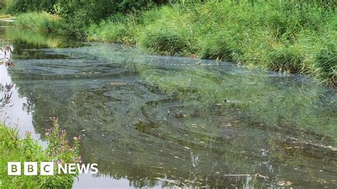 Ending Sewage Dumping Will Mean Higher Water Bills Report Bbc News R Labouruk