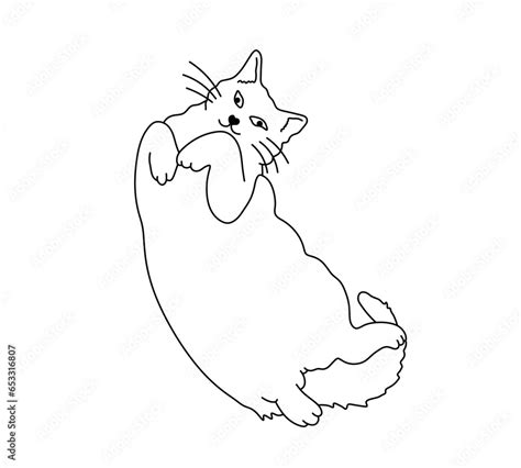 Vector Isolated One Single Cute Cartoon Fat Cat Lying On Back In Funny Pose Colorless Black And