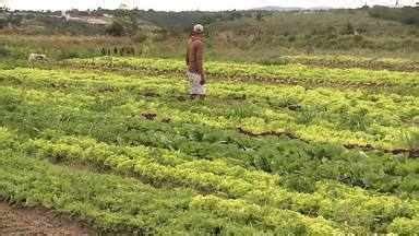 Assistir Gazeta Rural Online No Globoplay