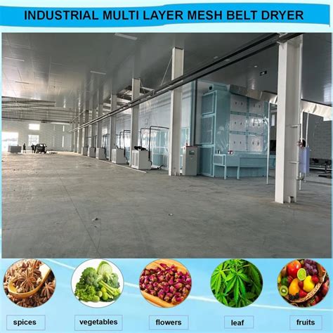 Industrial Manufacturing Machinery Food Drying Conveyor Machine