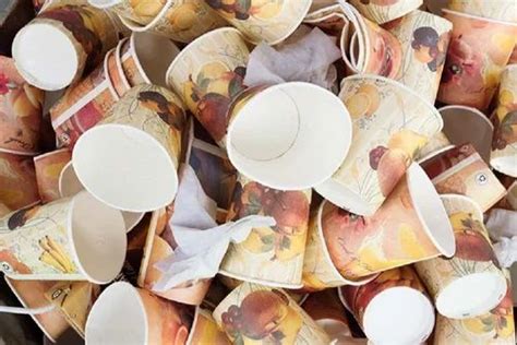 Brown Waste Paper Cup 120 Gsm Grade A Grade At Rs 25kg In New Delhi