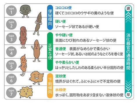 便の国際基準「ブリストルスケール」で腸内環境ウォッチ！