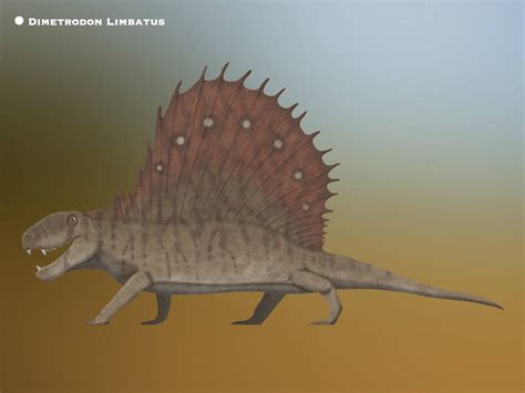 Dimetrodon Limbatus Paleohistoric By Paleohistoric On Deviantart