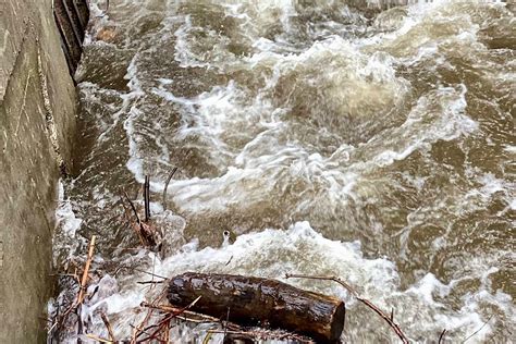 Kootenay Boundary Flood Watch Update Trail Times