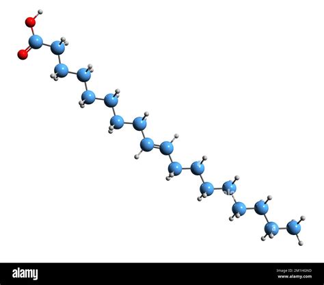 3d Image Of Elaidic Acid Skeletal Formula Molecular Chemical