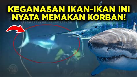 Mirip Film Horror Inilah Ikan Ikan Yang Pernah Menghilangkan Nyawa