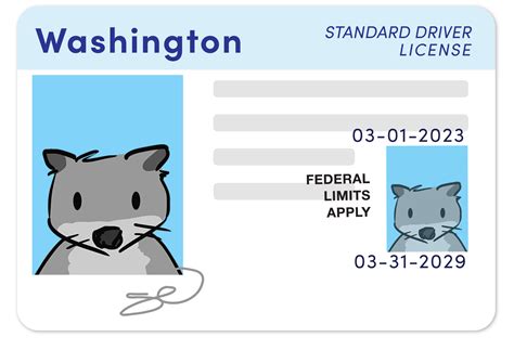 Real Id Washington Id Options For Washingtonians