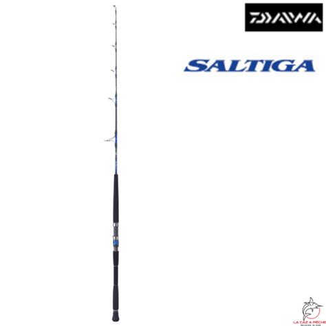 Canne Saltiga Deep Daiwa Lacazapeche Re