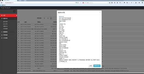 Pcap Analyzer