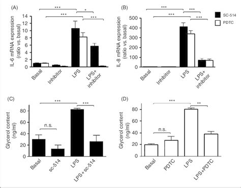 The Inflammatory Nf Kb Pathway Is Involved In Lps Induced Cytokine