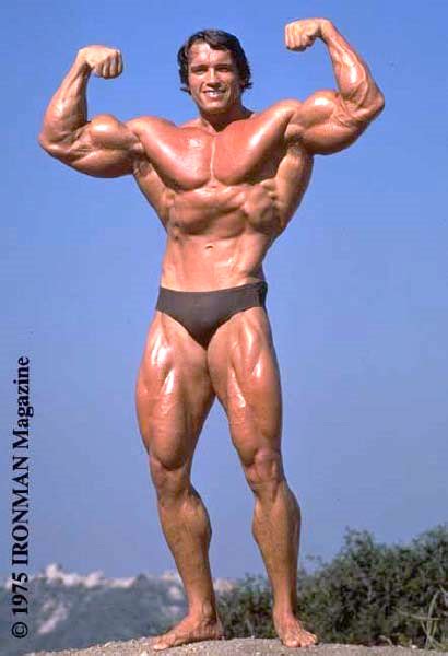 1970 75 Arnold Schwarzenegger Makes His Mark Body Shape