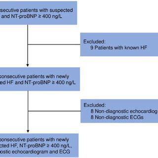 Study Flowchart Hf Heart Failure Nt Probnp Nterminal Pro Brain