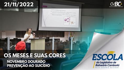 Os Meses e Suas Cores Novembro Dourado Câncer Infarto Juvenil 21