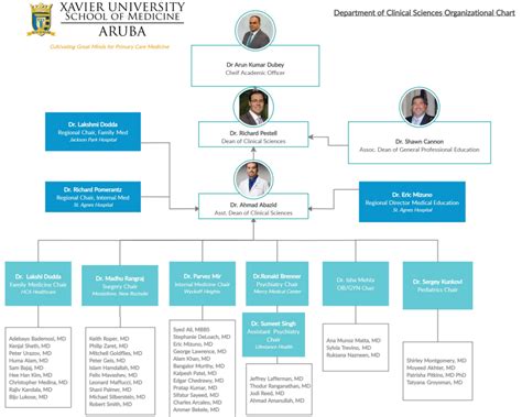 Clinical Laboratory Organizational Chart