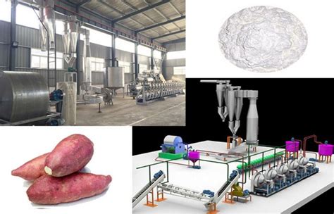 Extraction Of Starch From Sweet Potato Procedure Starch Production Line