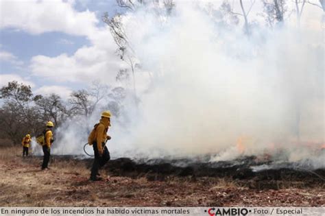 Van 293 Incendios Forestales En Puebla En Lo Que Va Del Año Séptimo