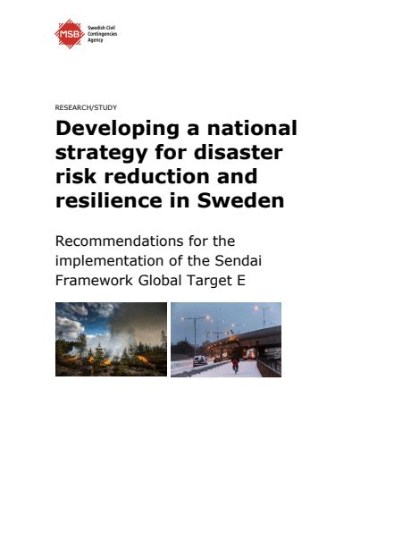 Developing A National Strategy For Disaster Risk Reduction And