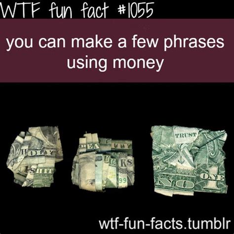 Selection Of WTF Fun Facts 45 Pics Izismile