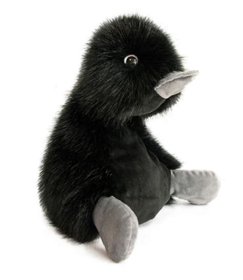 Histoire D Ours Peluche Canard Coin Panach Eb Ne Cm