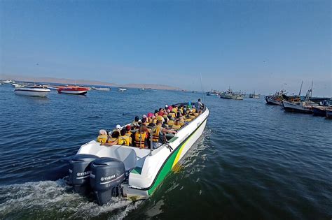 Full Day Paracas Ica Huacachina From Lima Coastal Views Pisco