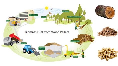 Potential Waste Used For Biomass Fuel Part Two