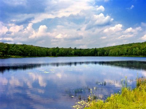 Free Images Landscape Tree Nature Grass Marsh Cloud Sky Hiking