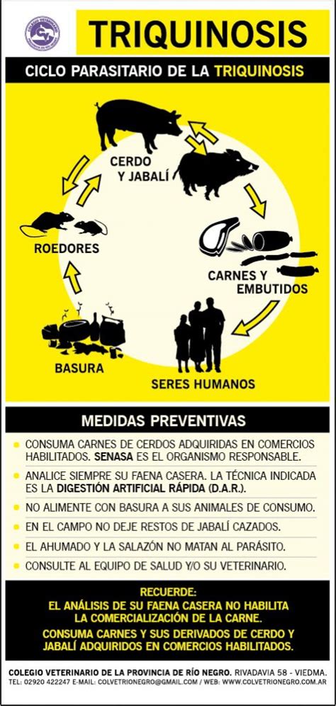 Triquinosis Qu Es Y C Mo Prevenirla Colegio Veterinario Rio Negro