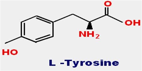 Tyrosine - Assignment Point