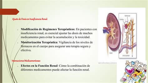 farmacología renal y toda sus funciones PPT