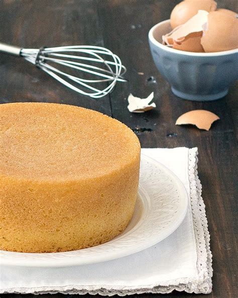 cake boss italian sponge cake recipe