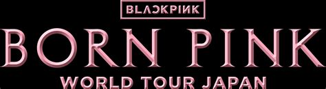 BLACKPINK WORLD TOUR BORN PINK JAPAN オフィシャルツアー in 大阪