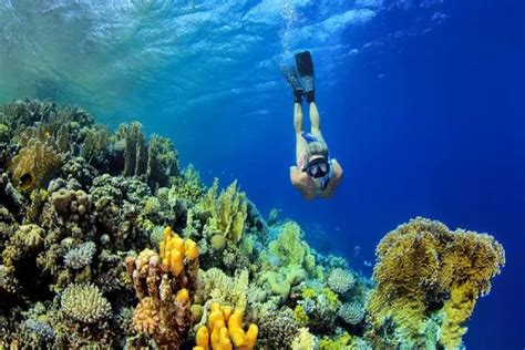 Bertualang Di Pulau Kanawa Keindahan Tersembunyi Labuan Bajo Yang